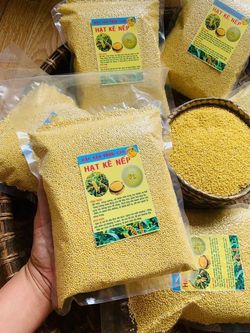 Hạt kê nếp vàng Tây Bắc đã tách vỏ