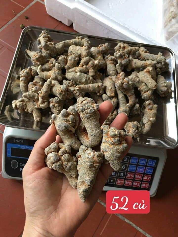 Tam thất bắc 52 củ 89k 100g