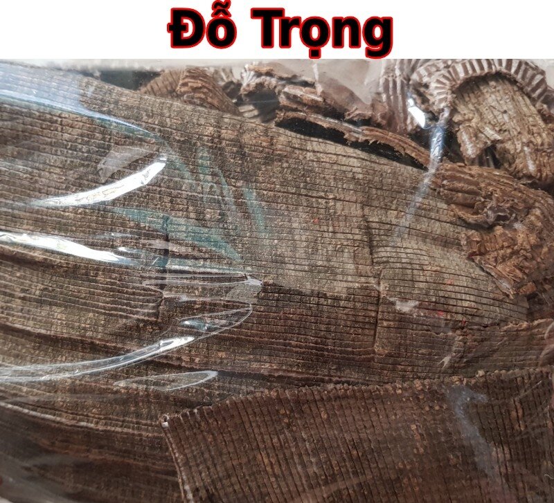 100GR Đỗ Trọng Hàng Đẹp