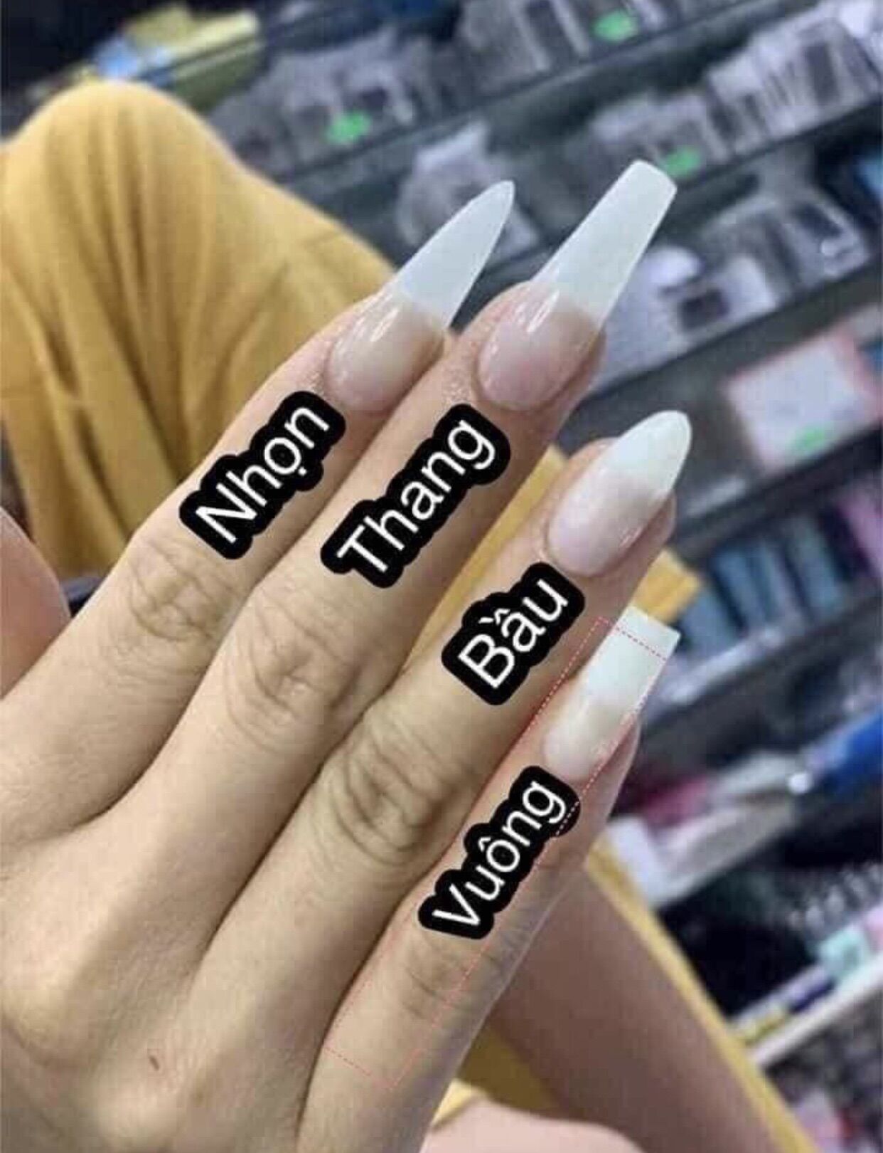 Nail box thiết kế trắng đen