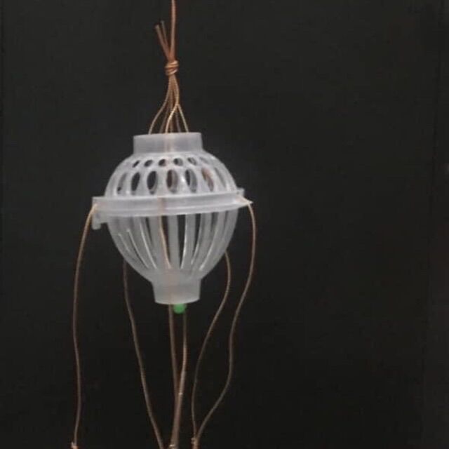 lồng câu cá mè