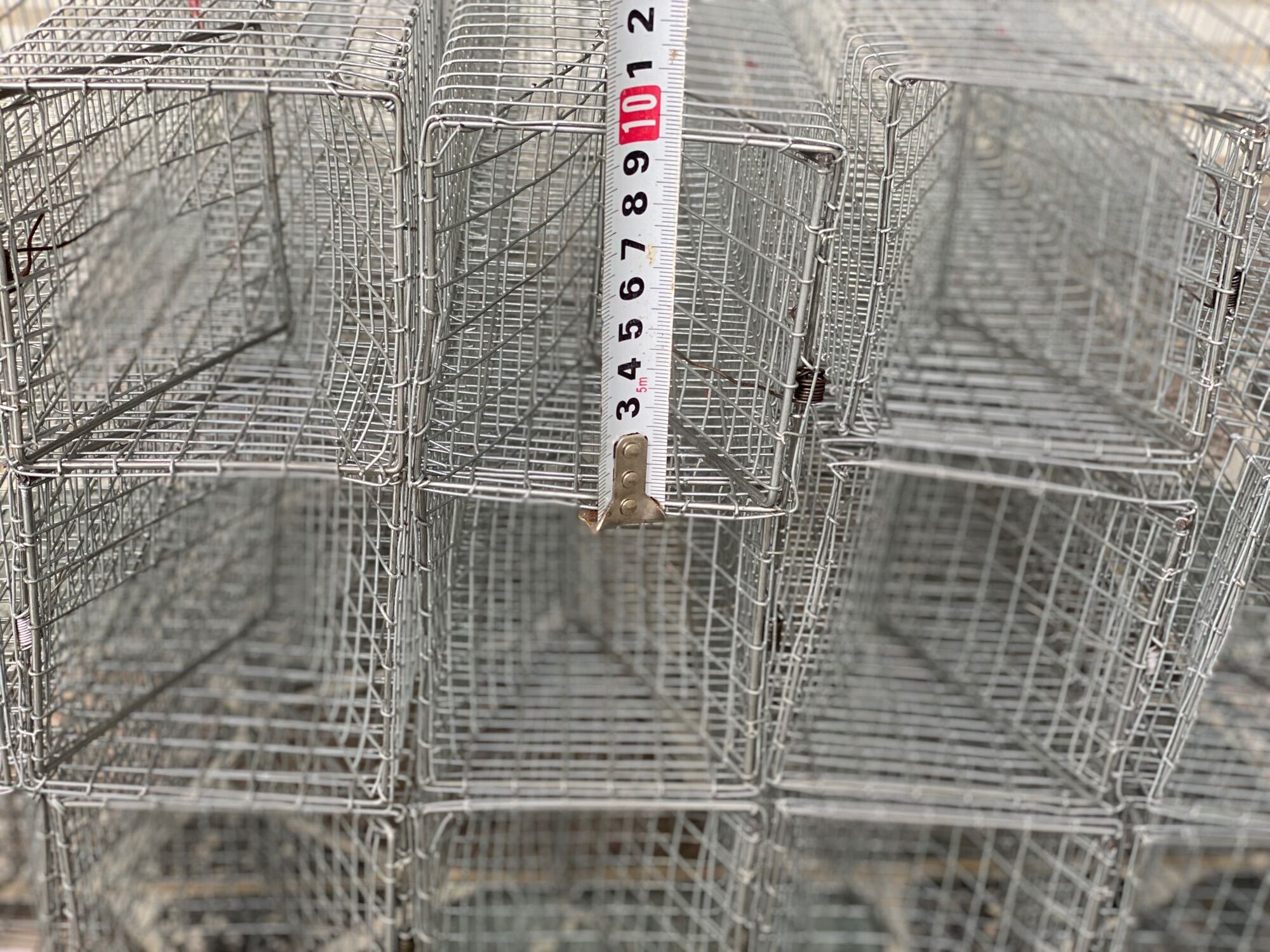 Bẫy rắn hai hôm dài 700cm rông 10