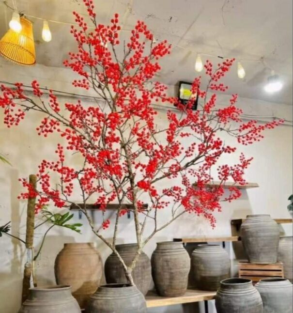 Bong Bóng Tròn Màu Cam 50 Cái - Đu Trend Hồng Trưng tết, trang trí tiệc cưới, đám hỏi, sinh nhật, thôi nôi, đầy tháng, khai trương, Tất niên, Tân niên, Tân gia, ...