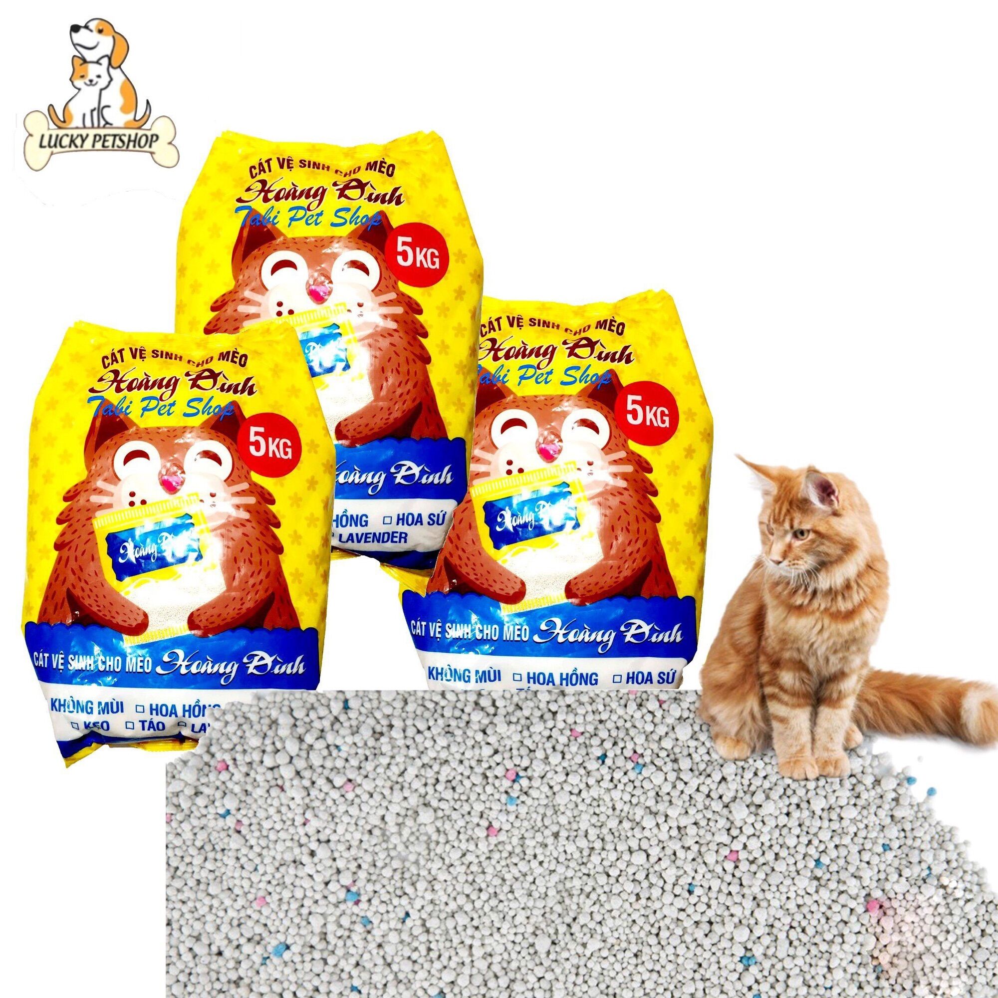 Cát vệ sinh cho mèo Hoàng Đình 5kg
