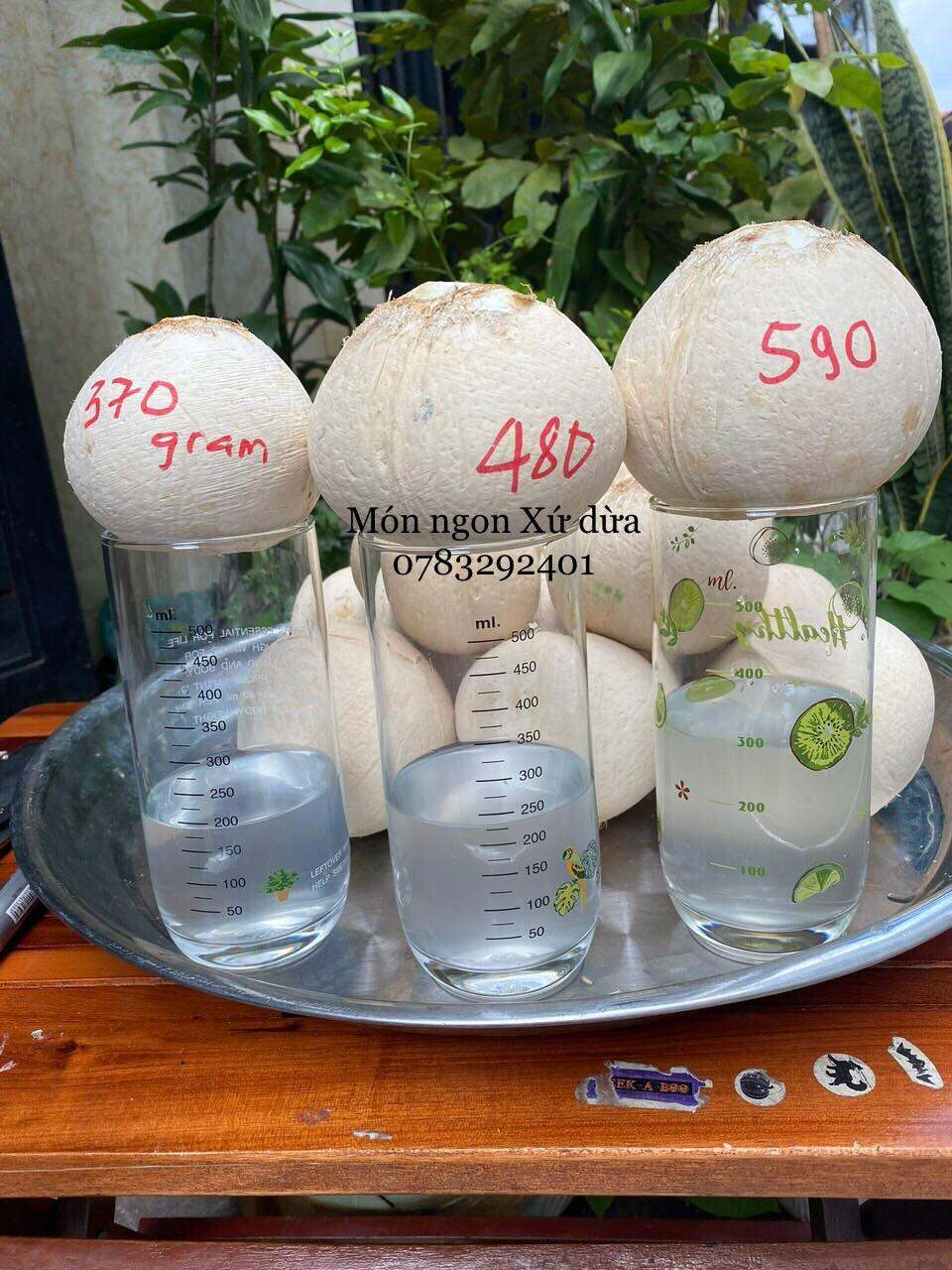 Dừa trọc xiêm xanh Bến Tre kèm ống hút, size 380g-500g