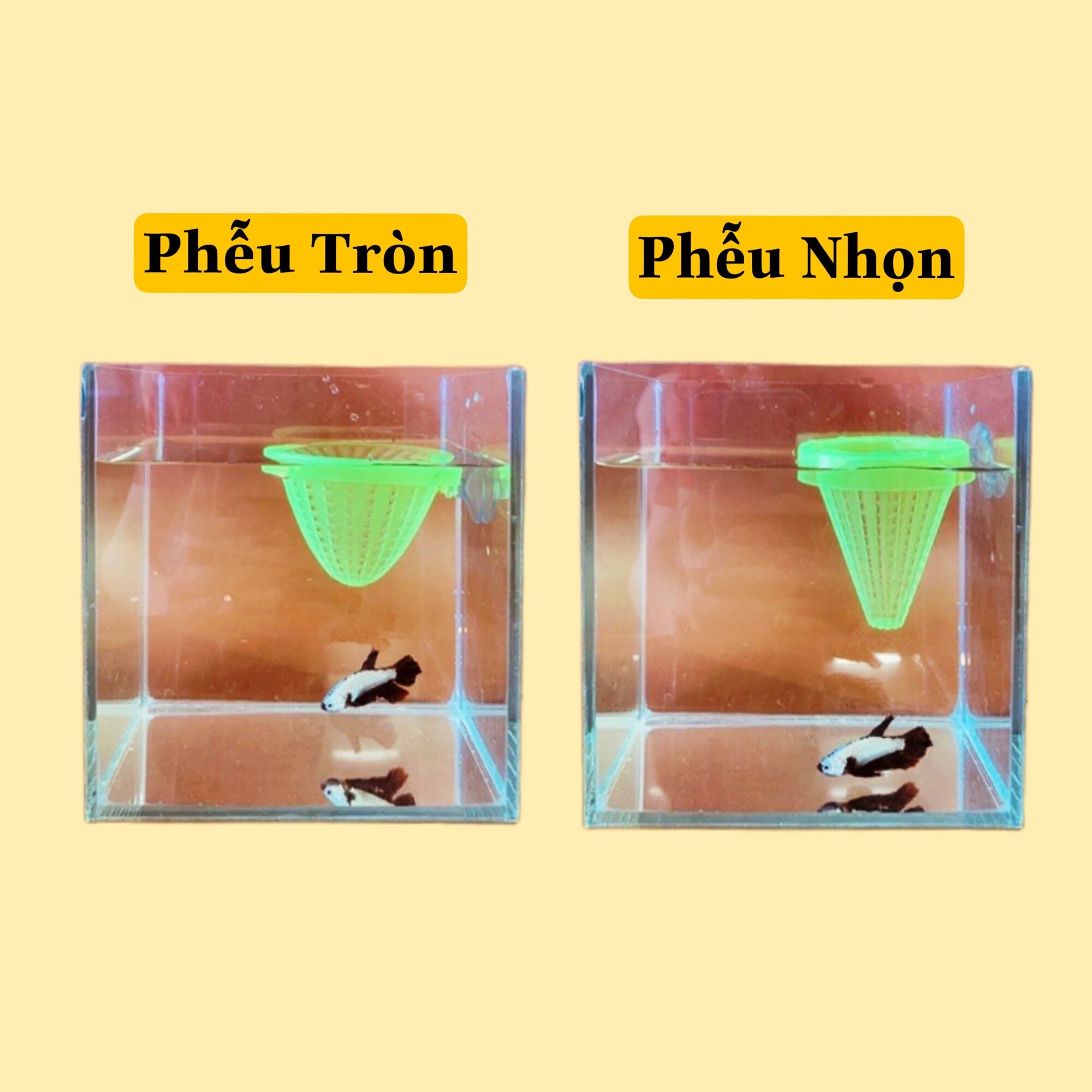 PHỄU ĐỰNG GIUN , TRÙN CHỈ CHO CÁ
