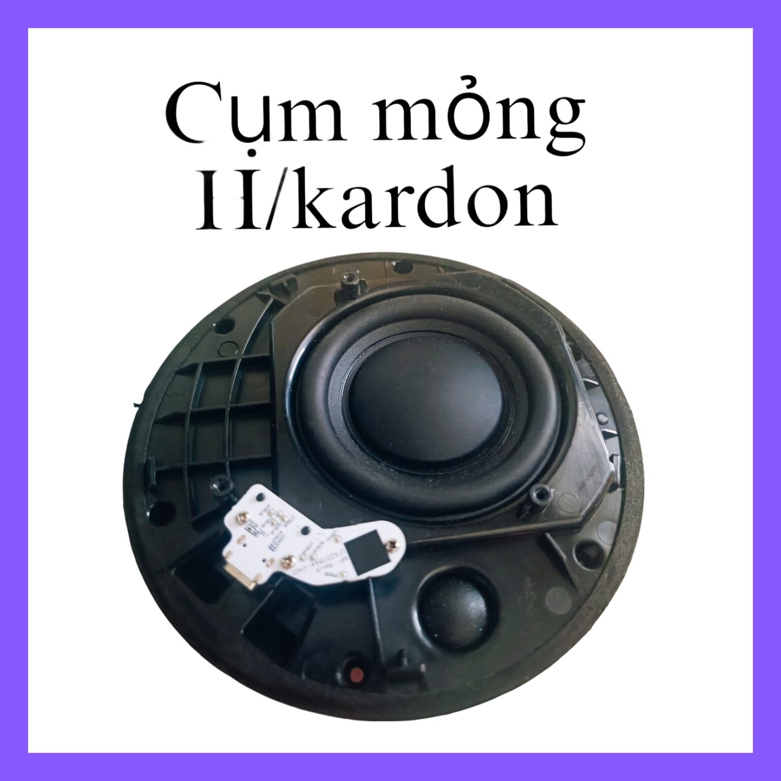 Cụm mỏng Harman Kardon • Cụm loa bán thành phẩm HK DIY -