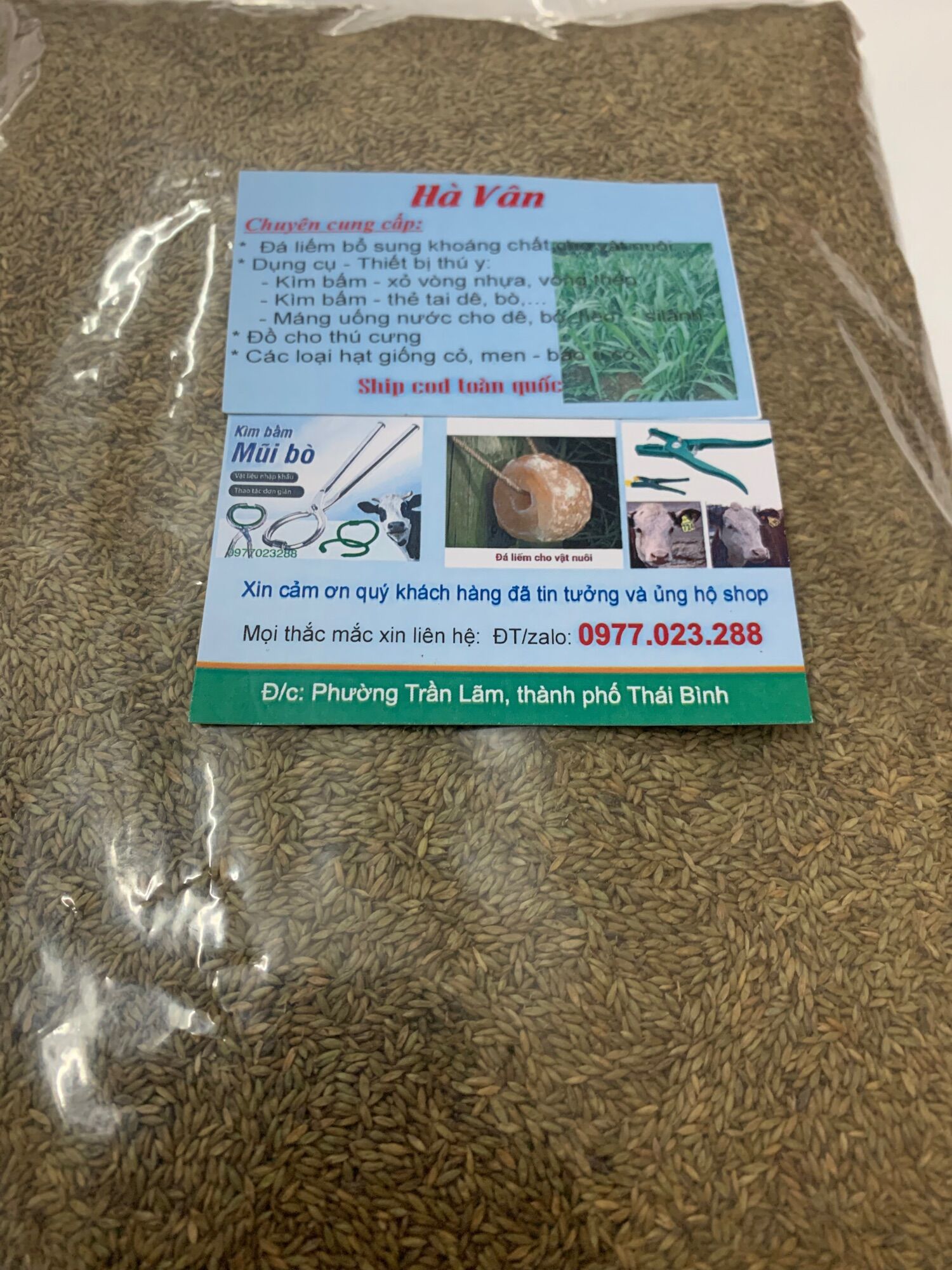 Cỏ sả lá lớn Ghine Monbasa gói 100g