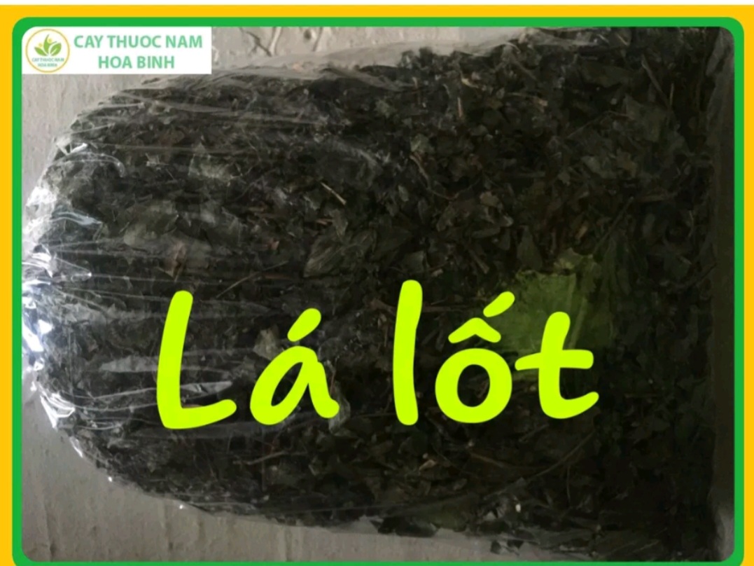 1 Ký Lá Lốt Khô ( cắt  5 đến 6cm )