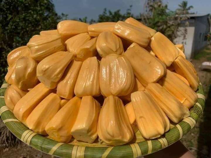 100g kẹo khóm mít dừa non
