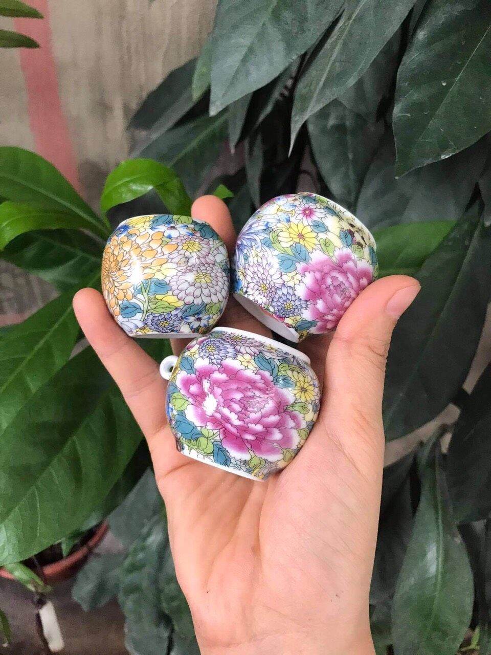 cóng hoa chim chào mào