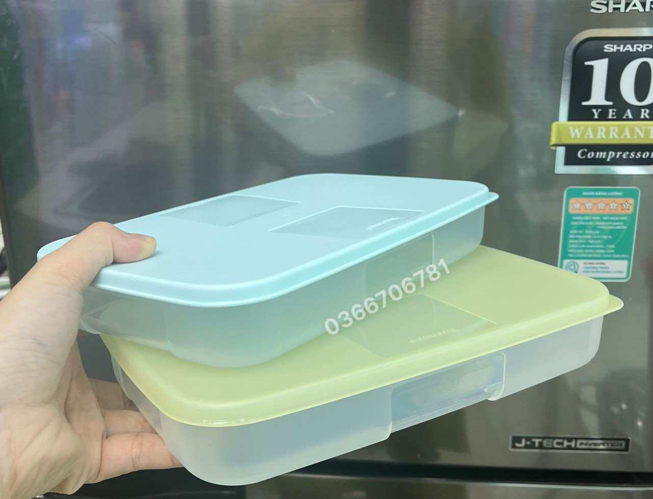 Set 2 hộp đông dẹp 650ml (nắp màu ngẫu nhiên)