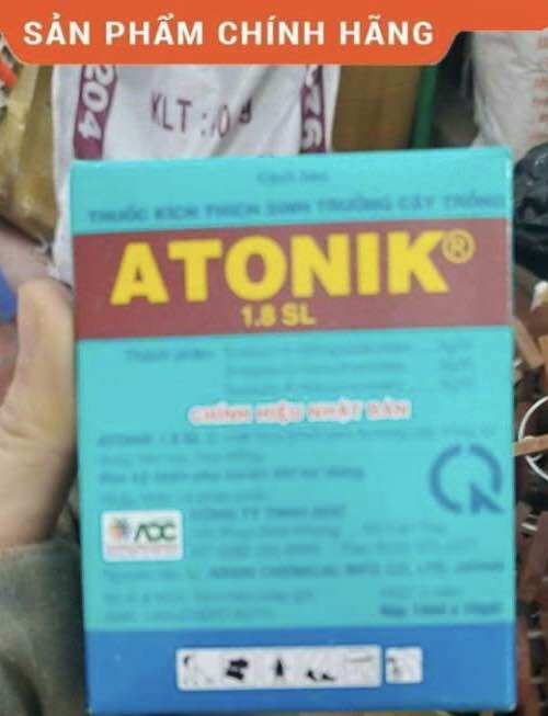 Hộp Atonik gồm 10 gói Atonik kích thích sinh trưởng