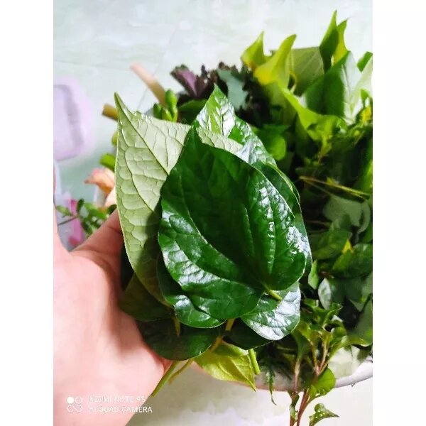 COMBO các loại rau rừng