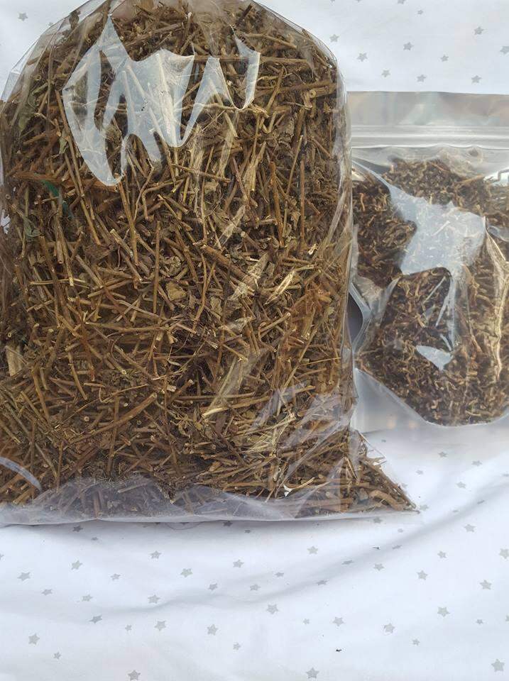 1kg cà gai leo khô