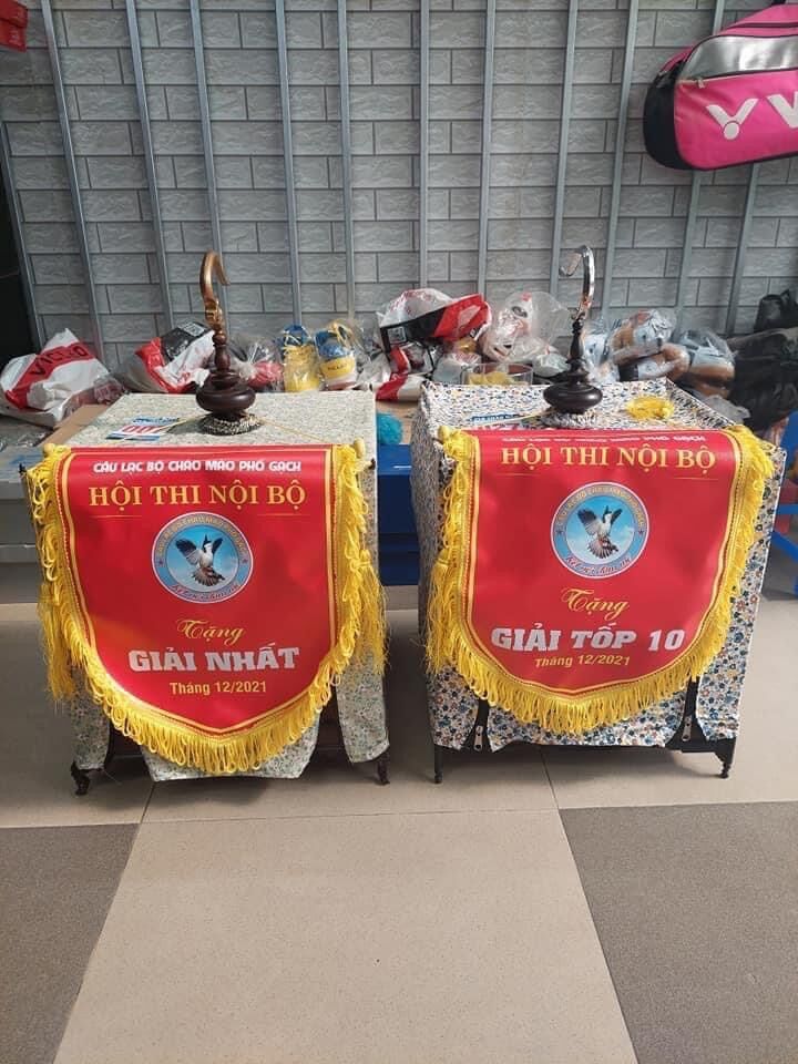 Cám win đấu trường Lão Đại ( dành cho chào mào đấu)