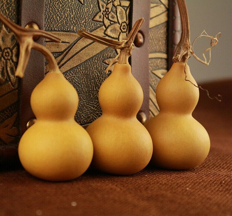 Quả bầu hồ lô to 20-24cm