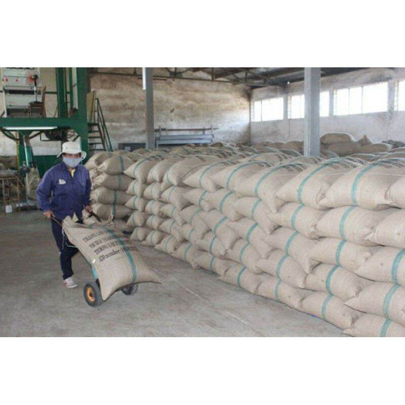 set 3kg cà phê arabica rang mộc ( hạt tuyển)