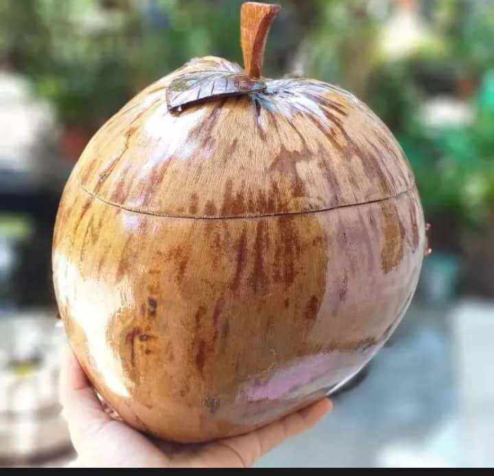 quả dừa giữ ấm bình trà kèm ấm tích