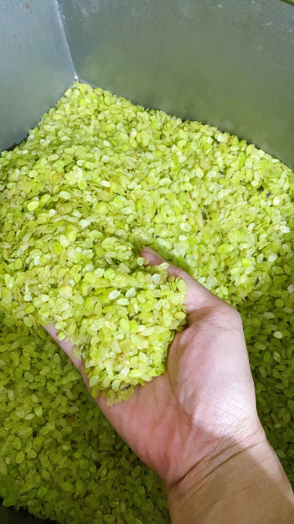 500G Cốm khô Tú Lệ thơm ngon