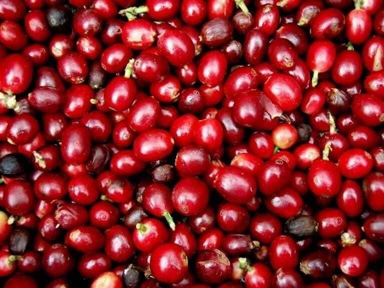 Cape bột nguyên chất bịch 1kg