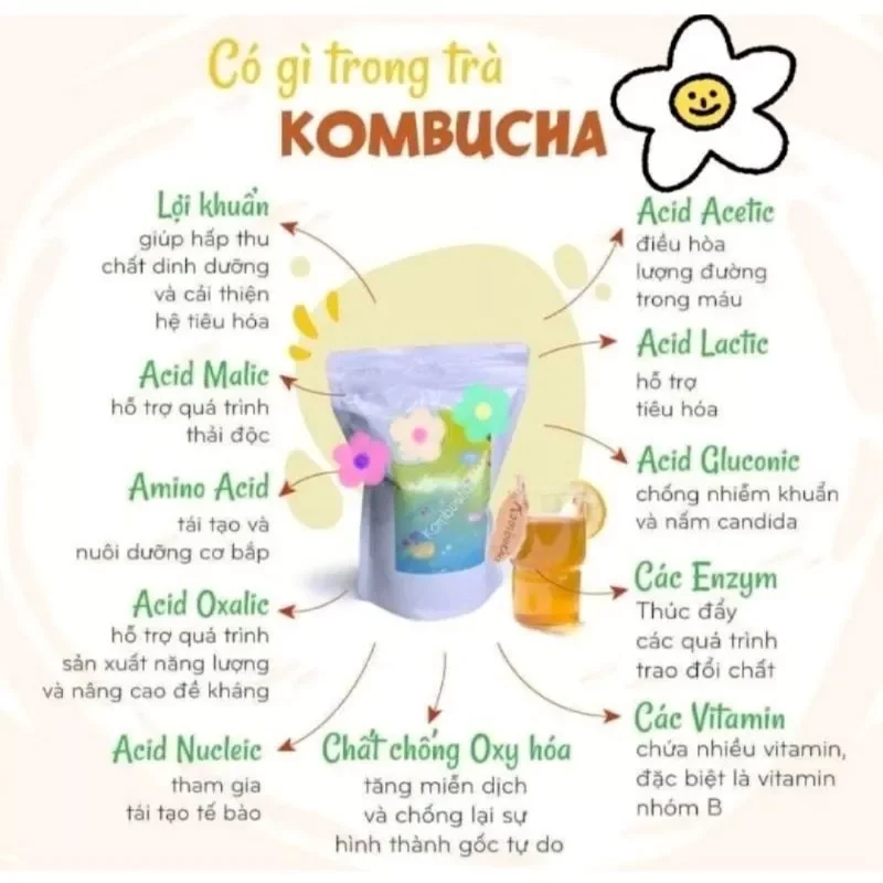 Scoby + Nước Mồi Làm Trà Kombucha combo 2 Con Nấm ( Kèm Cẩm Năng Hướng Dẫn Nuôi Chi Tiết Và Bảo Hành Nuôi Thành Công)
