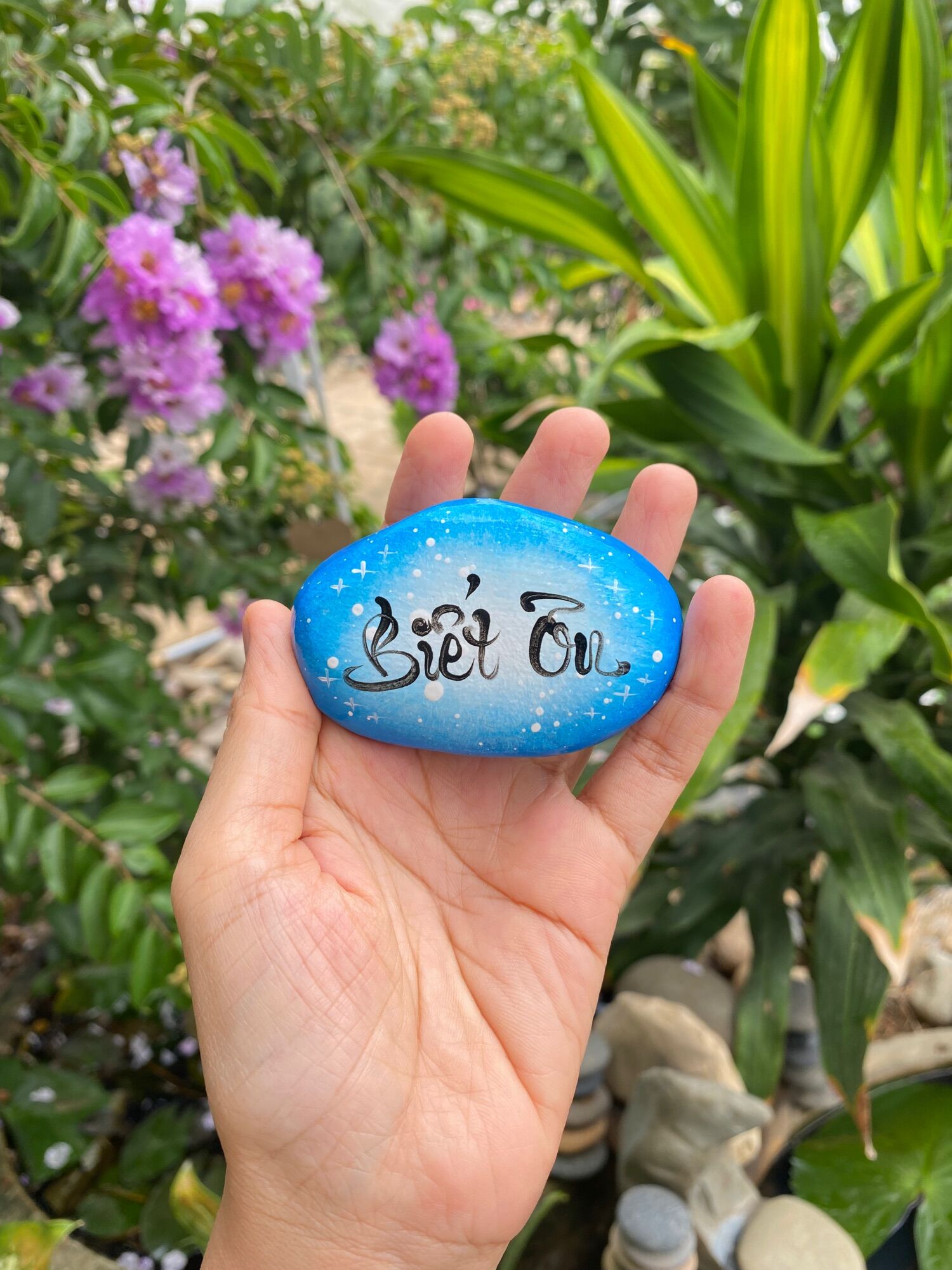 Hòn đá biết ơn xanh hy vọng