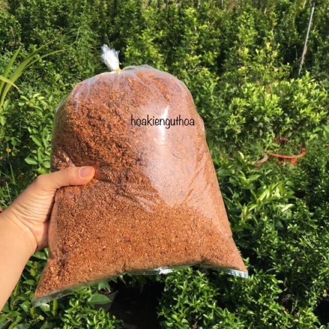 Mụn xơ dừa trồng cây, trồng hoa, ươm cây
