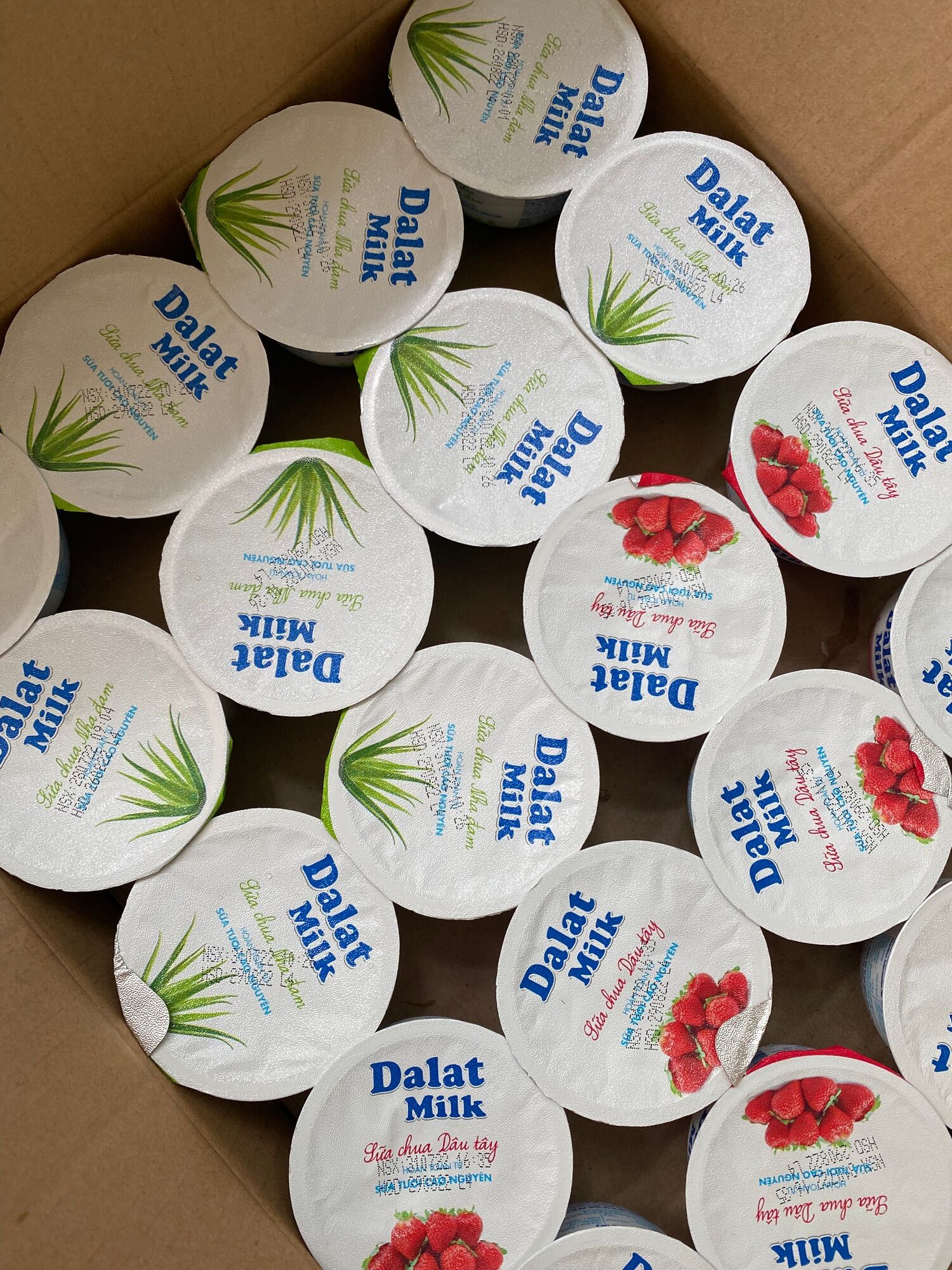 Sữa Chua Ăn Dâu Tây 100Gr Dalatmilk