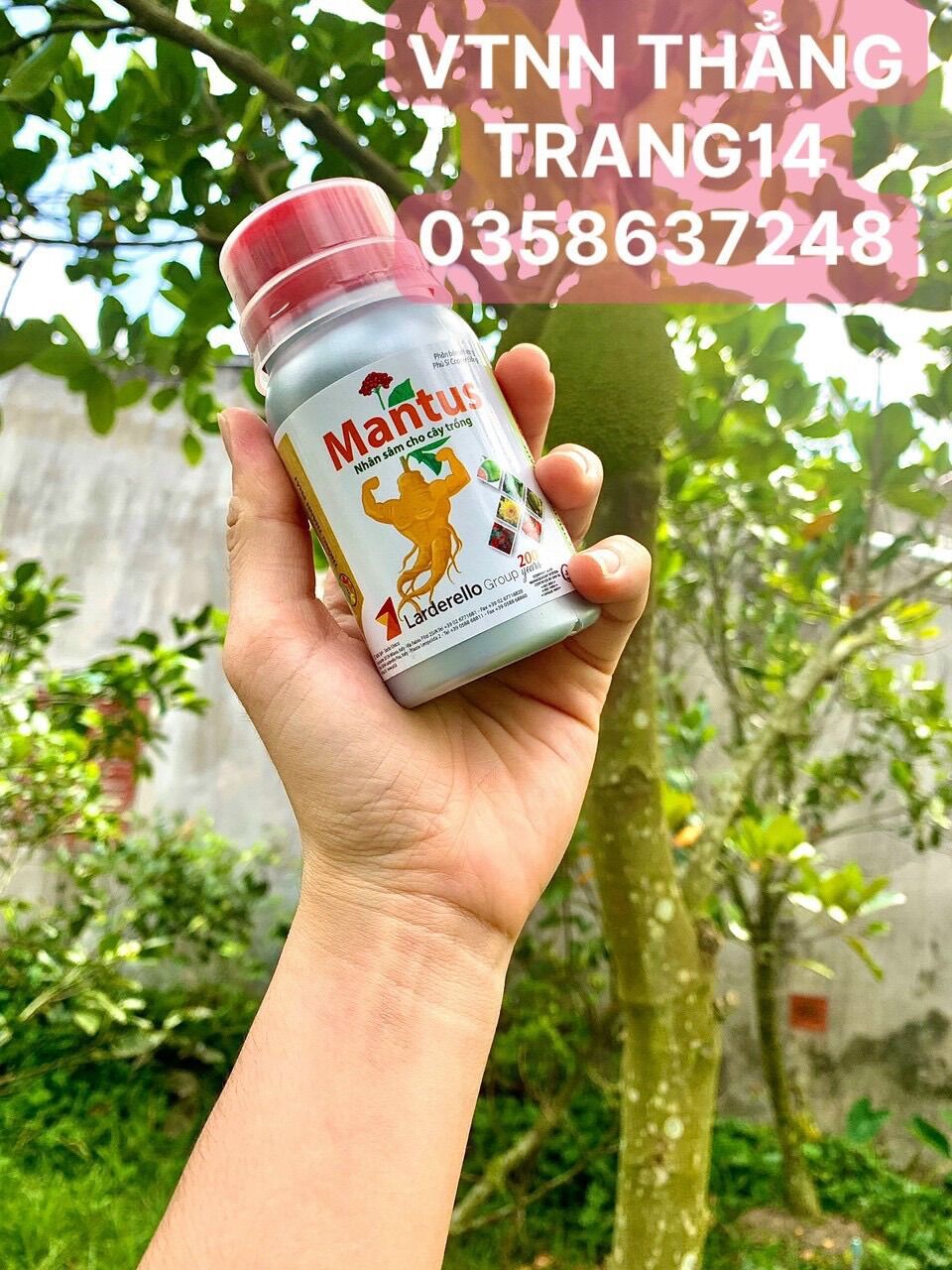 MANTUS nhân sâm cho cây trồng (hàng chính hãng 100%)