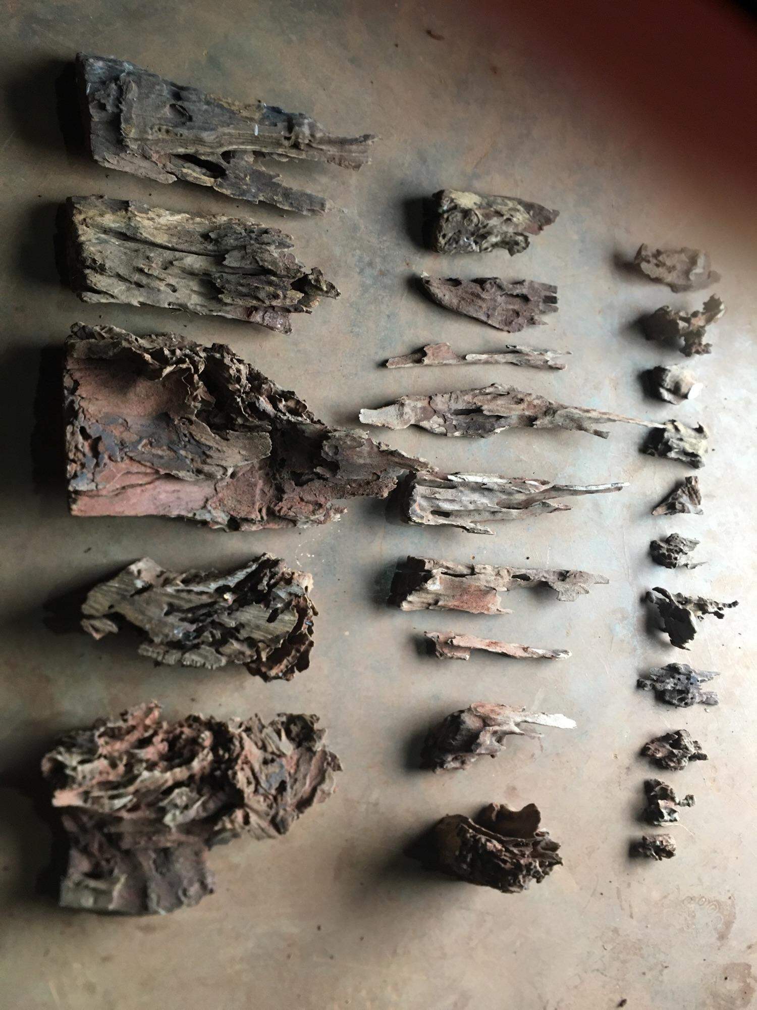 Gỗ lũa ghép lan 25 món