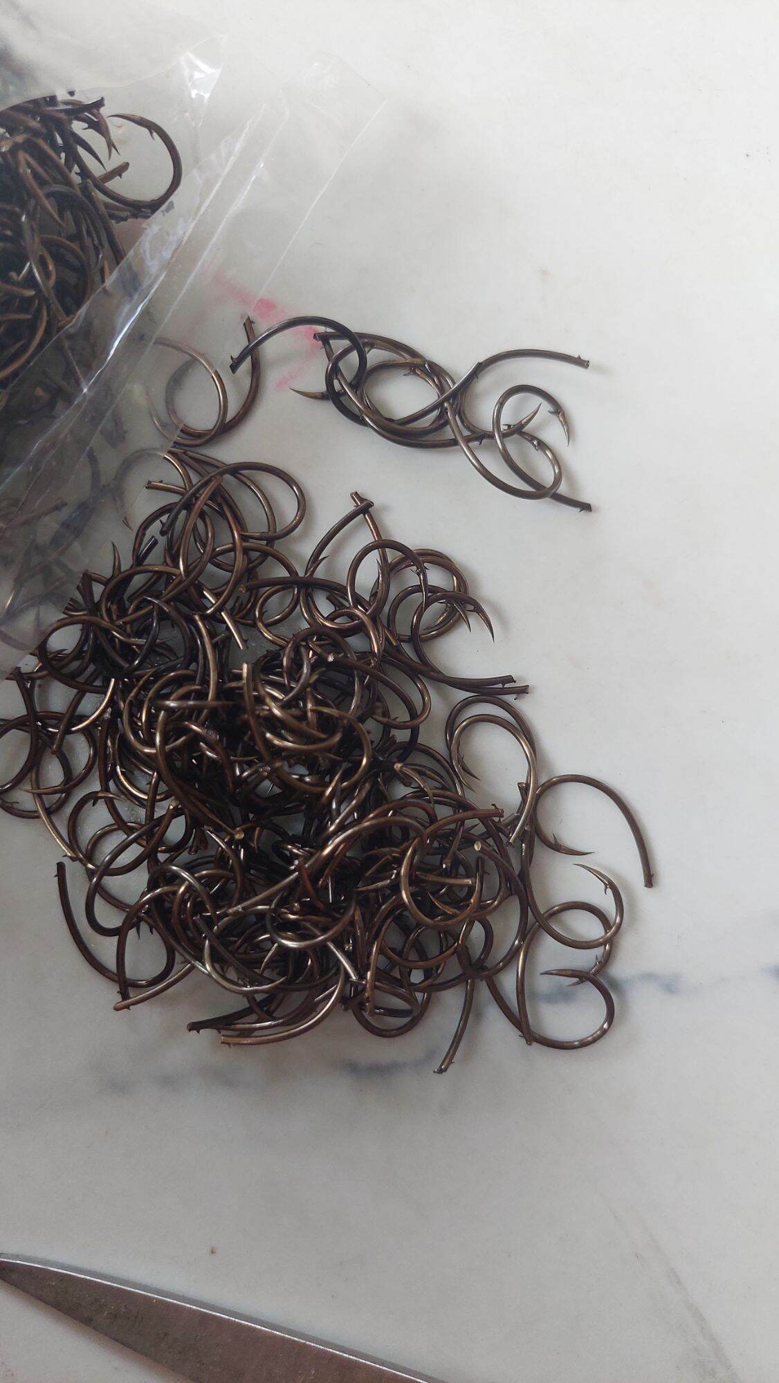 LƯỠI CÂU CẮM ẾCH RÙA Ó SỐ 6