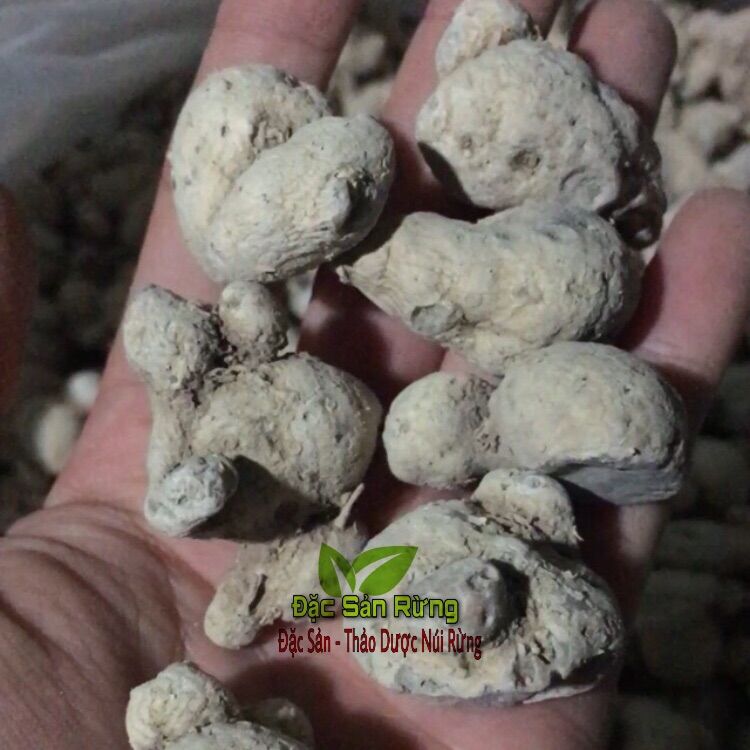 ( 1kg )Củ Tam Thất Nam ĐSR  - Hàng Loại 1( Sạch , Thơm)