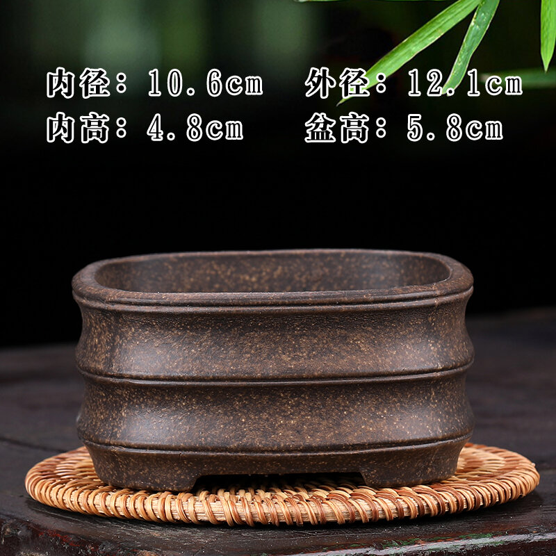 Chậu hoa hương bồ chậu hoa tử sa nghi hưng chậu hoa hương bồ chậu hoa chậu hoa thu nhỏ rêu thạch hộc chimeru gỗ hoàng dương để bàn