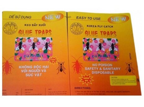 Combo 20 miếng dán ruồi hàn quốc korea fly catch glue traps