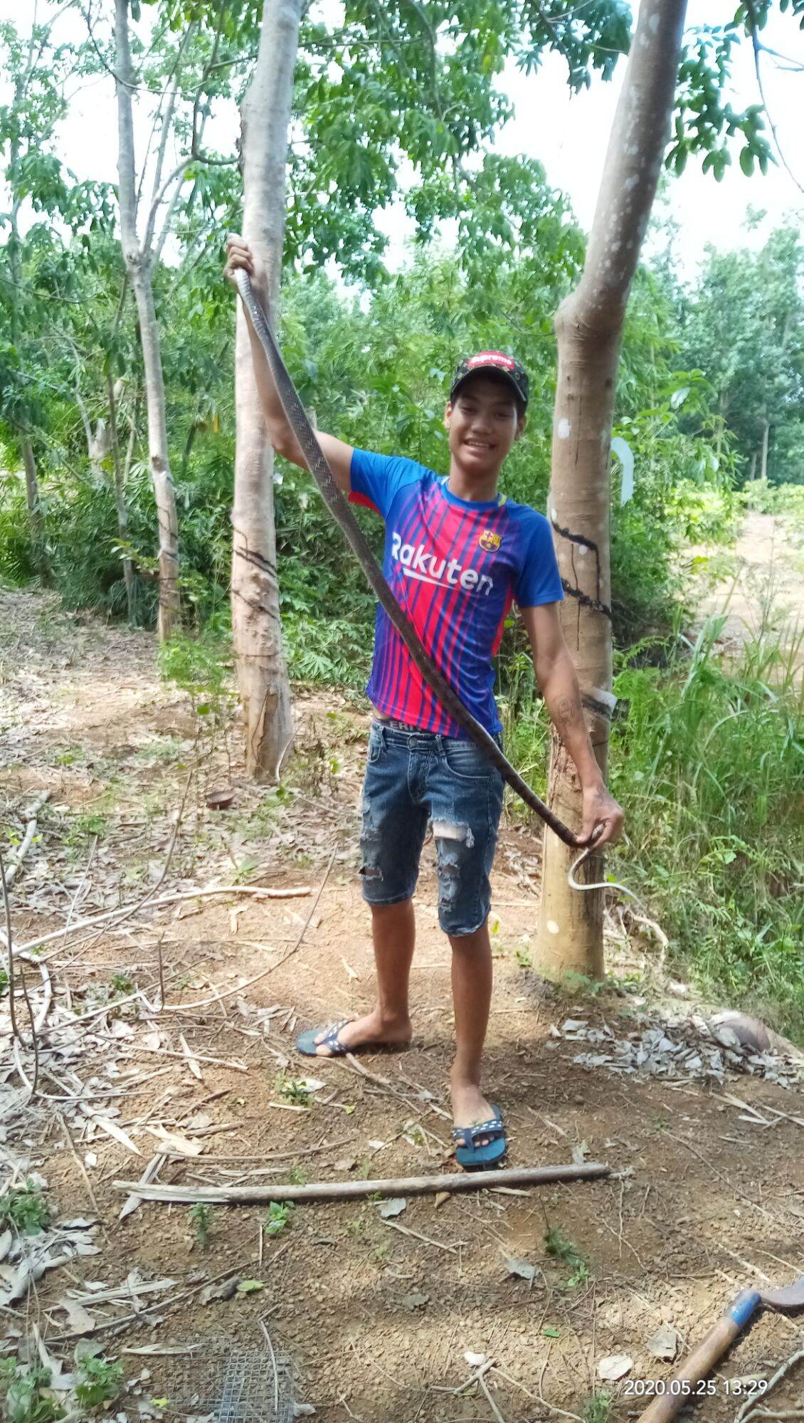 lồng bẫy rắn 1 hom dài 75cm