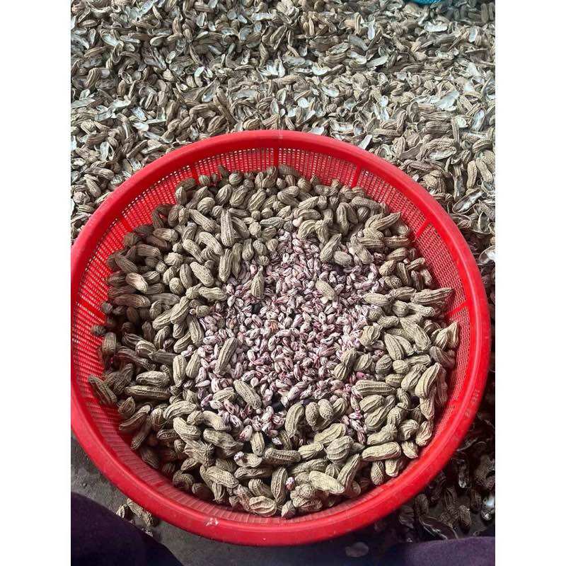 Lạc vằn lạc hoa mèo 500g -1kg