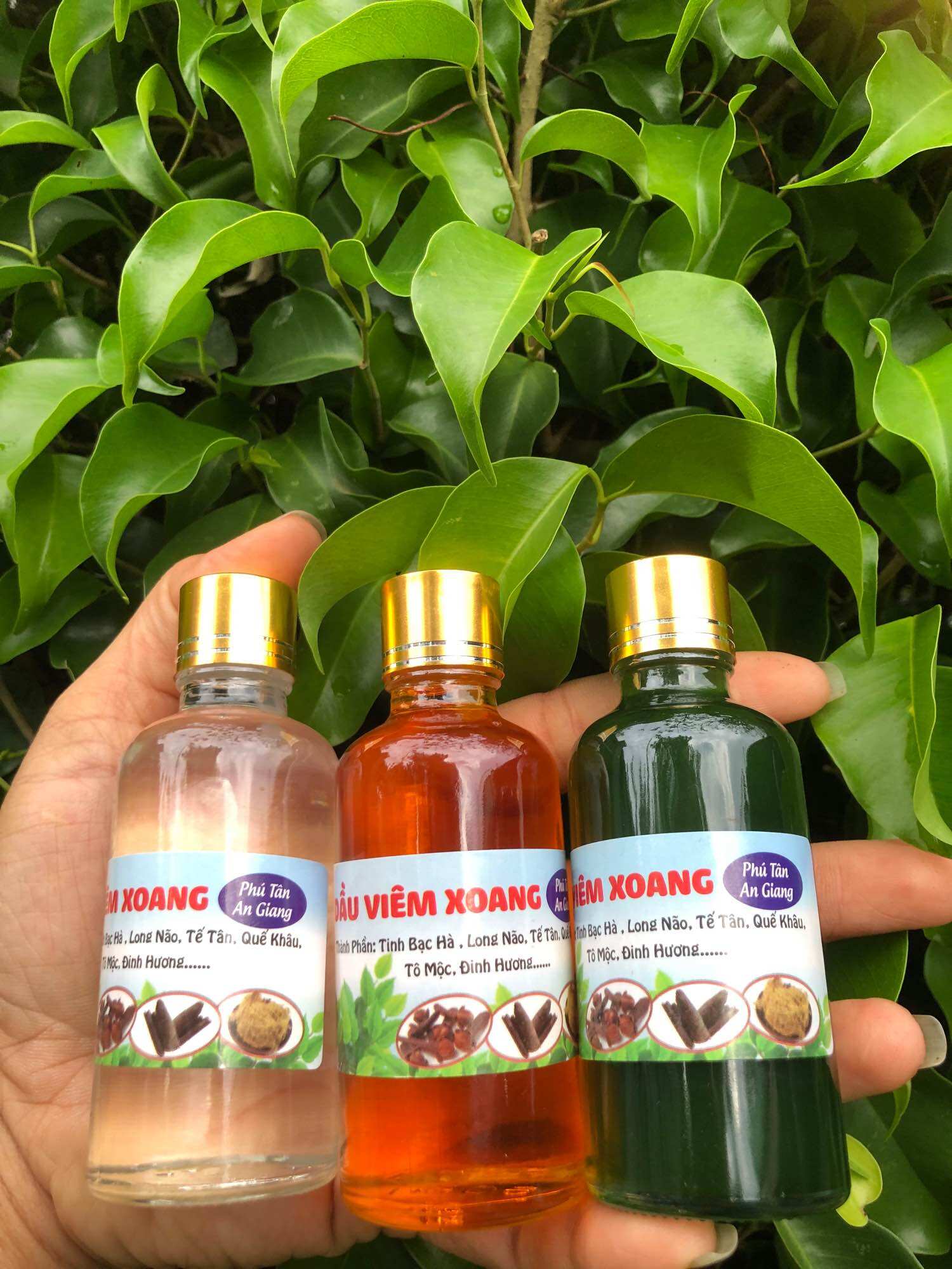 DẦU VIÊM XOANG XANH 50ML