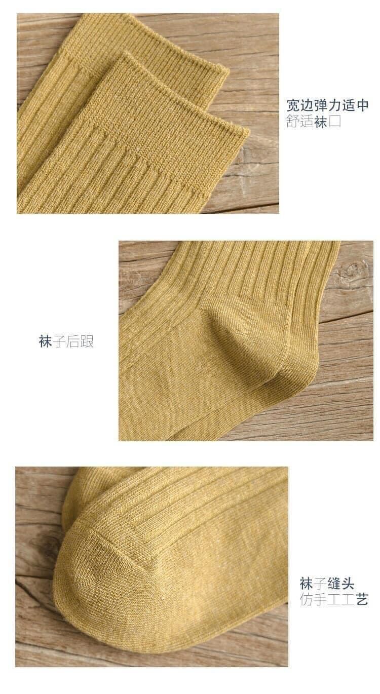 Set 10 đôi tất cao cổ style Hàn Quốc