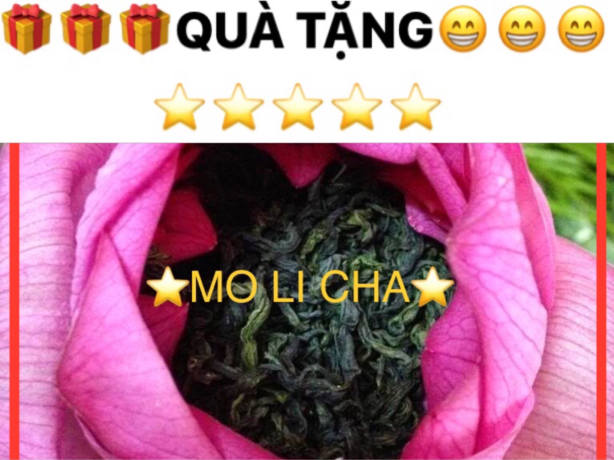 [ free ship + Quà tặng + giảm giá ] Trà Sen Thái Nguyên 500g-thơm ngon-đậm đà-tinh khiết.