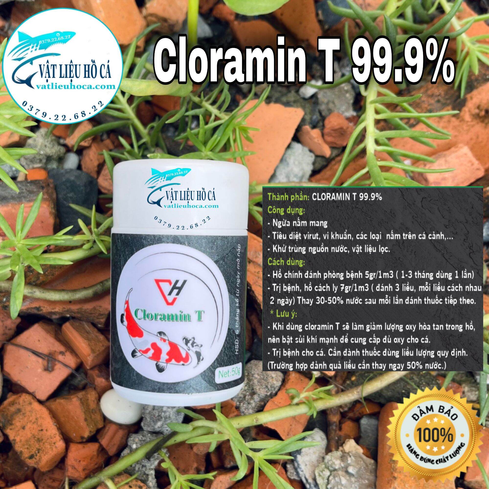 Cloramin T , ngăn ngừa nấm mang hiệu quả