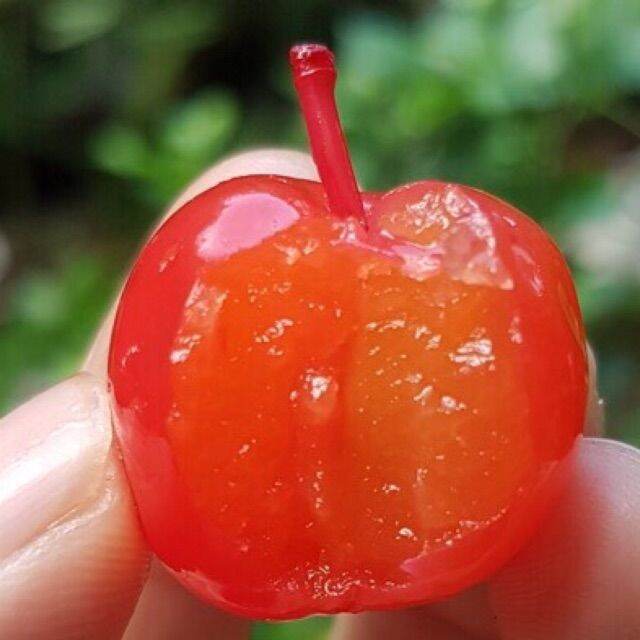 OMAI ANH ĐÀO ( Mứt cherry) hũ 100g, 250g, 350g