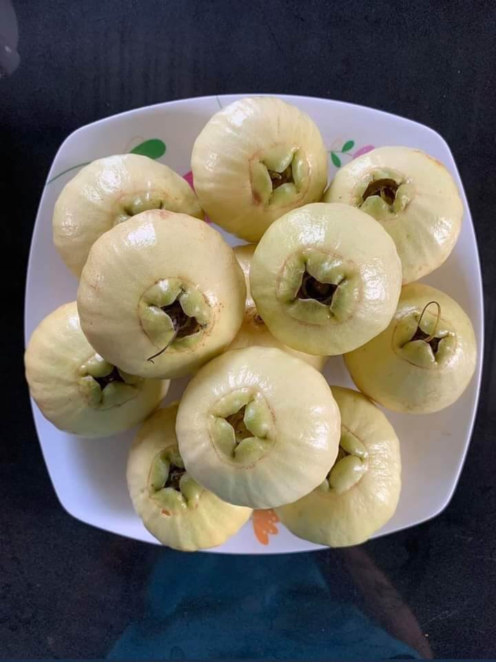 Cây lý, cây mận lý ươm bằng hạt giống siêu quả