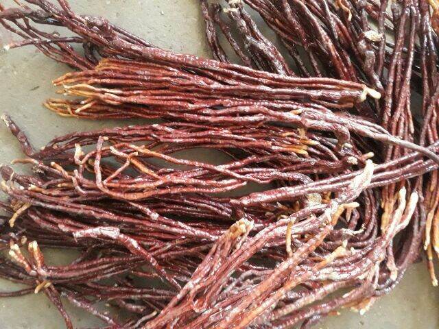 Nấm sừng hươu Tây Bắc 1KG