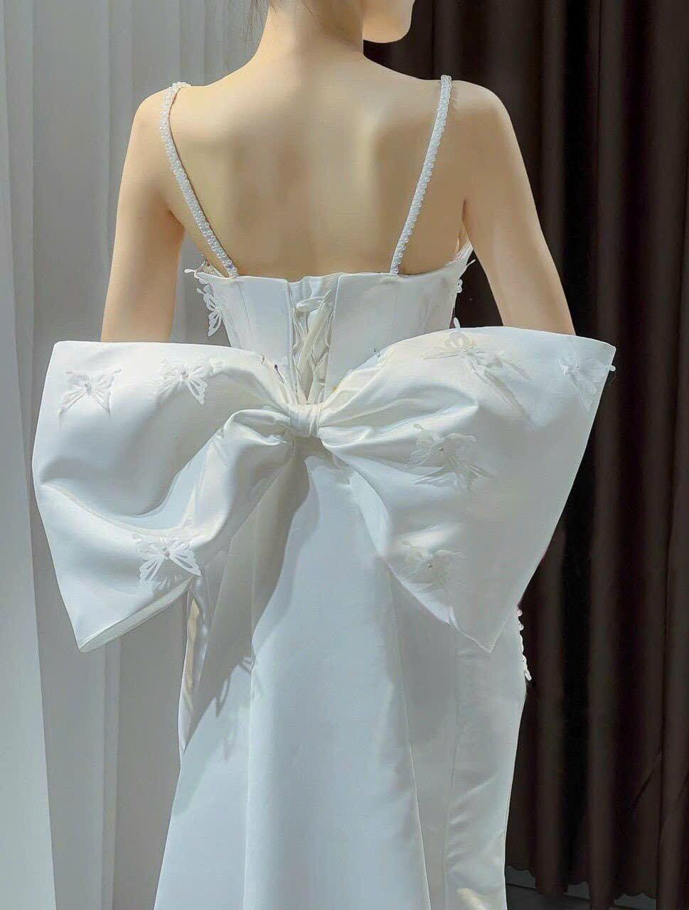 ĐẦM ĐUÔI CÁ NƠ LƯNG ĐÍNH BƯỚM