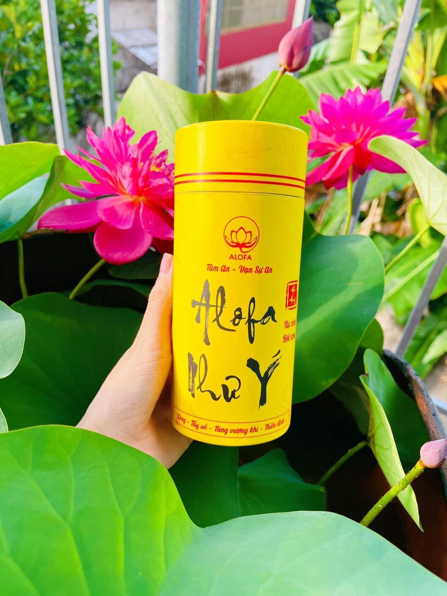 (Mua 5 TẶNG 1 chai Nước Tài Lộc) Nụ Alofa Như Ý 50 nụ