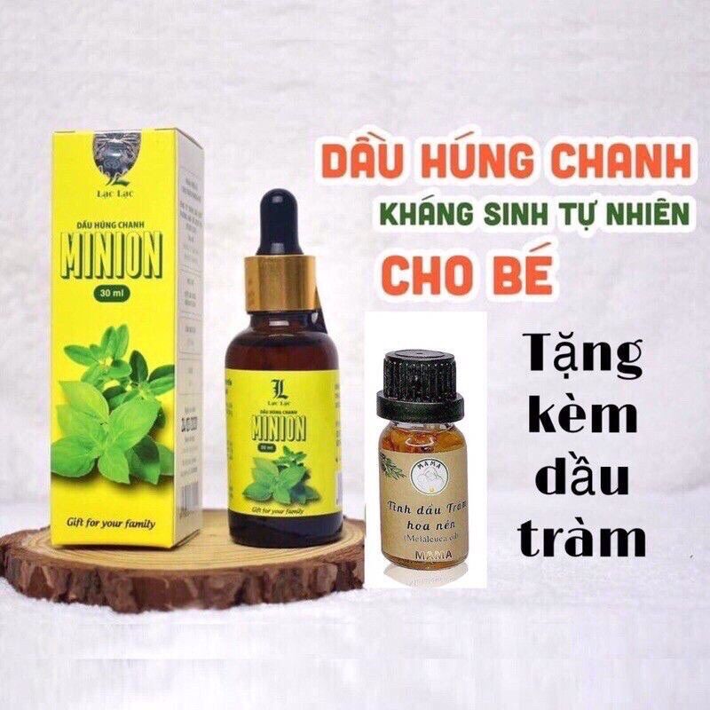 Tinh dầu Húng Chanh tặng Dầu tràm cho bé