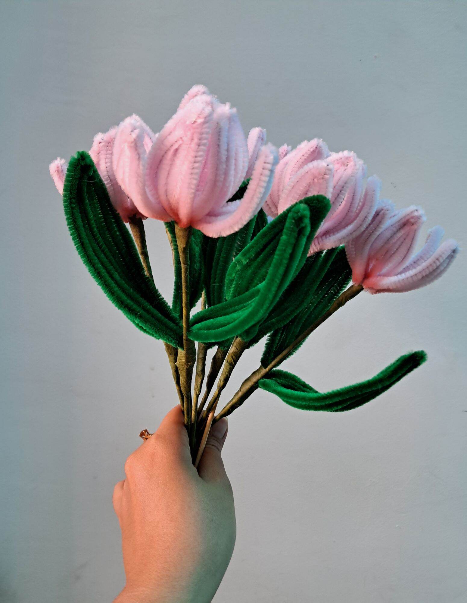 Hoa tulip bằng kẽm nhung