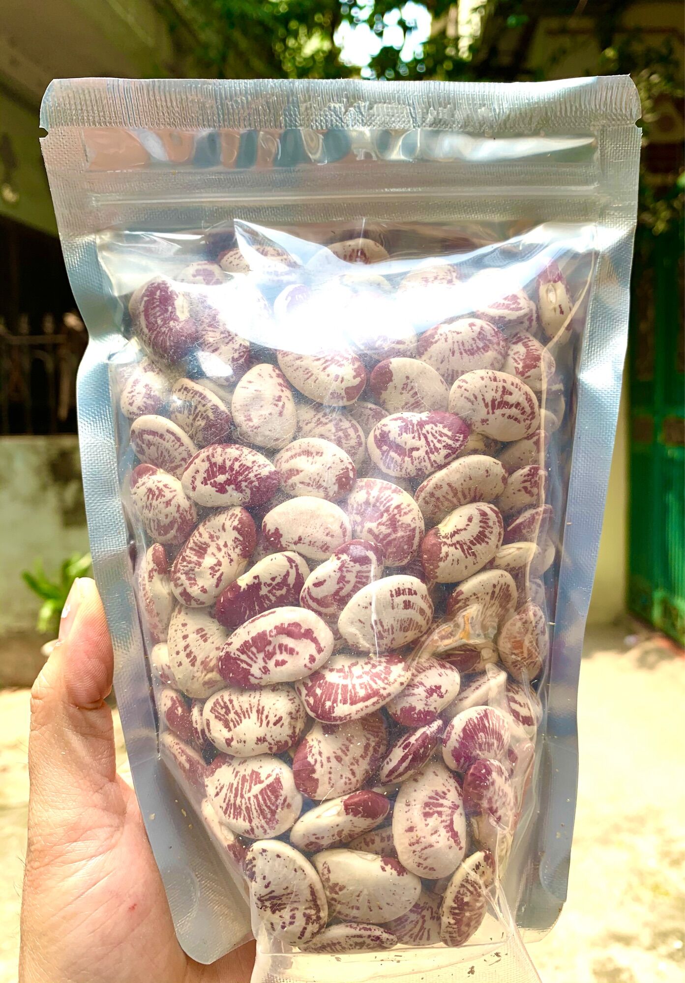 500gr đậu ngự hàng khô