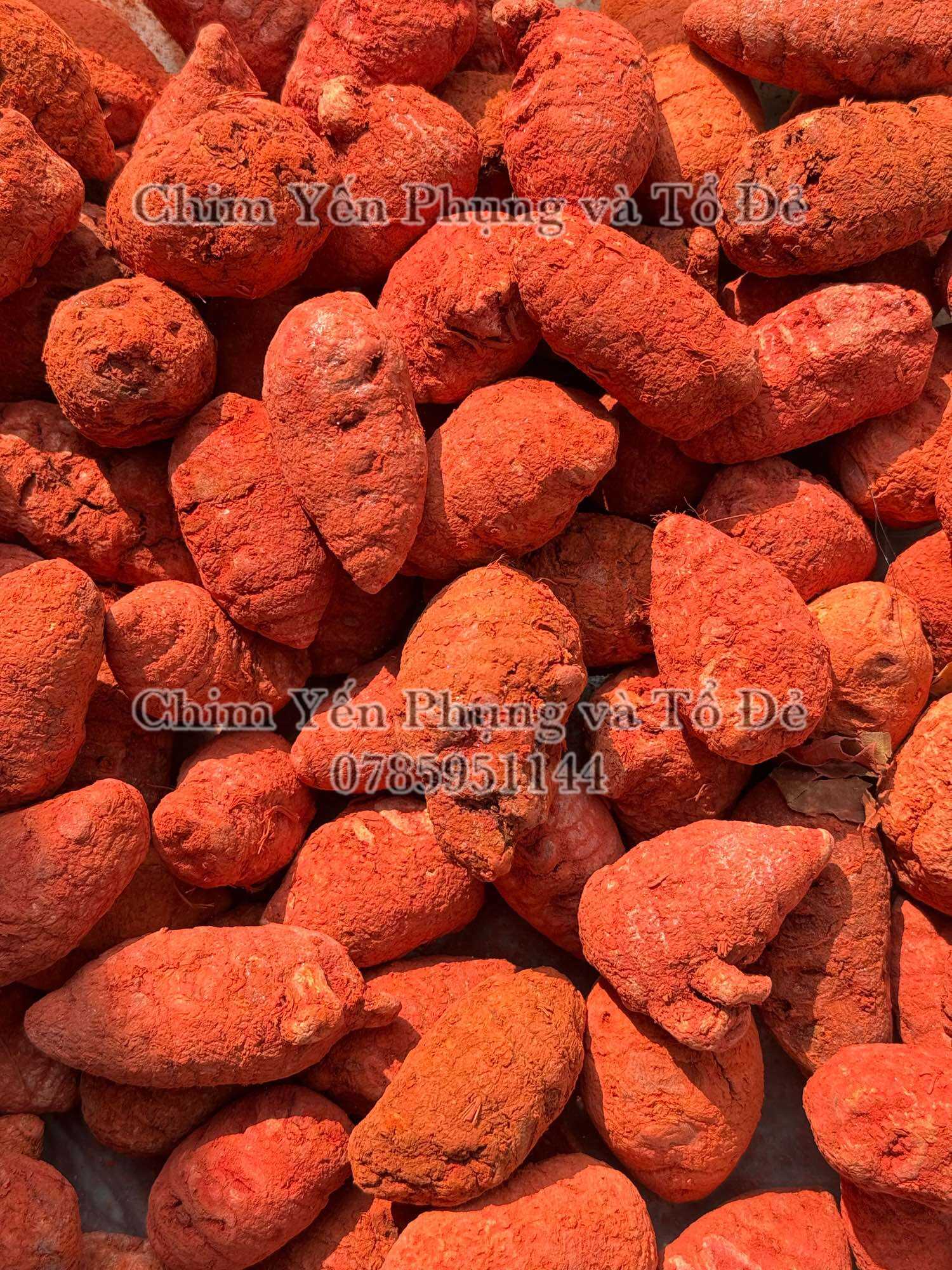 100gr Củ Nghệ đỏ cao cấp - Nghệ củ gà đá.